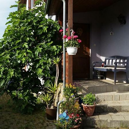 Urlaub Im Elsass Artolsheim Exterior foto