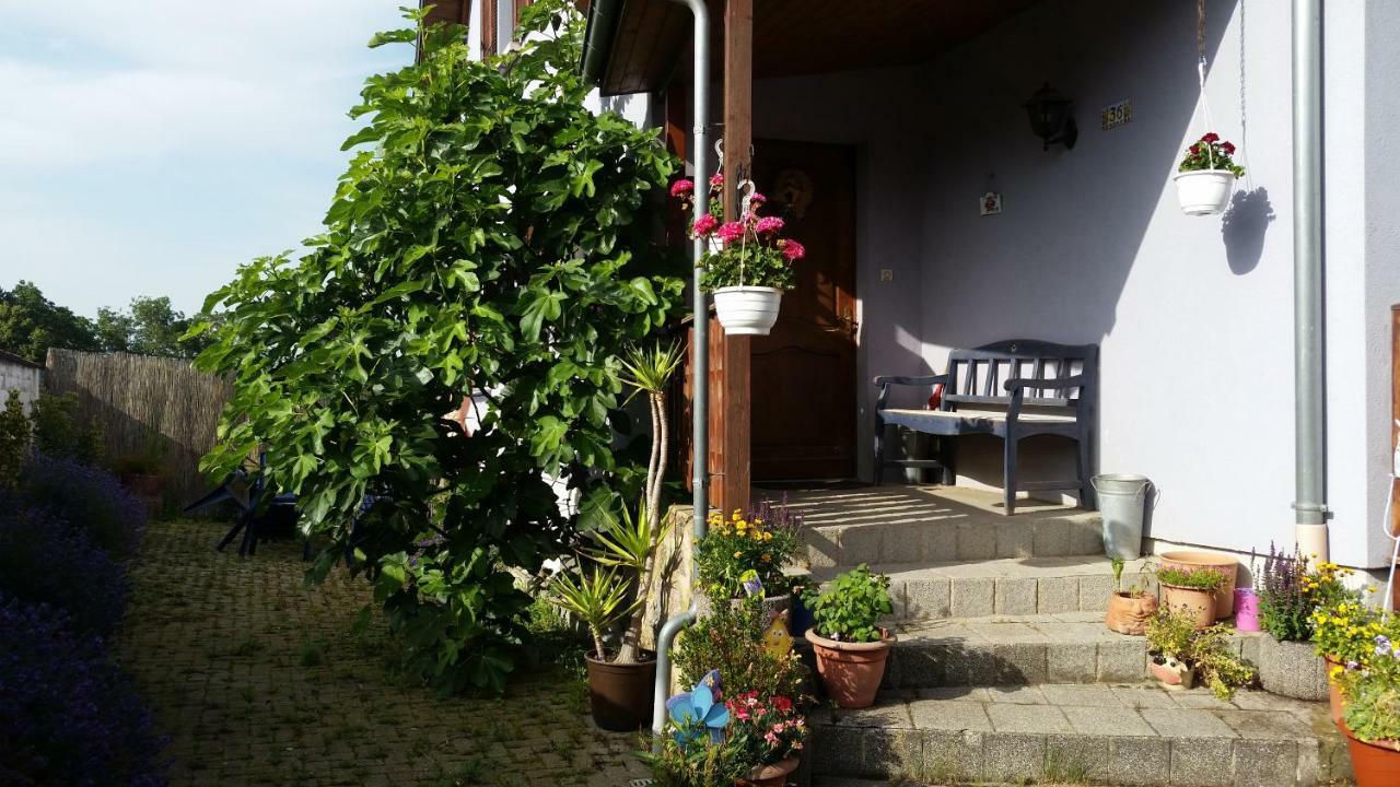 Urlaub Im Elsass Artolsheim Exterior foto